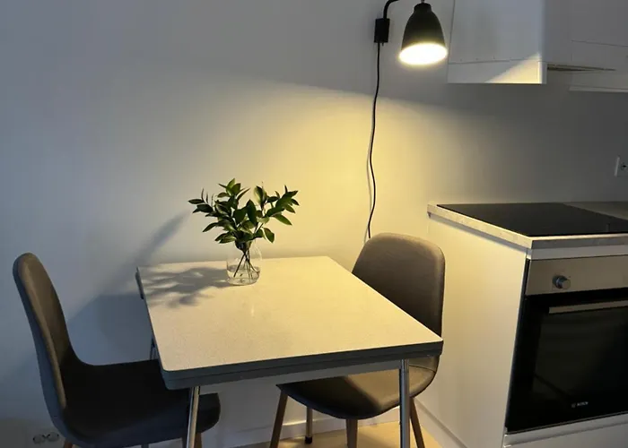 Liten Og Moderne Hybel Med Gratis Parkering